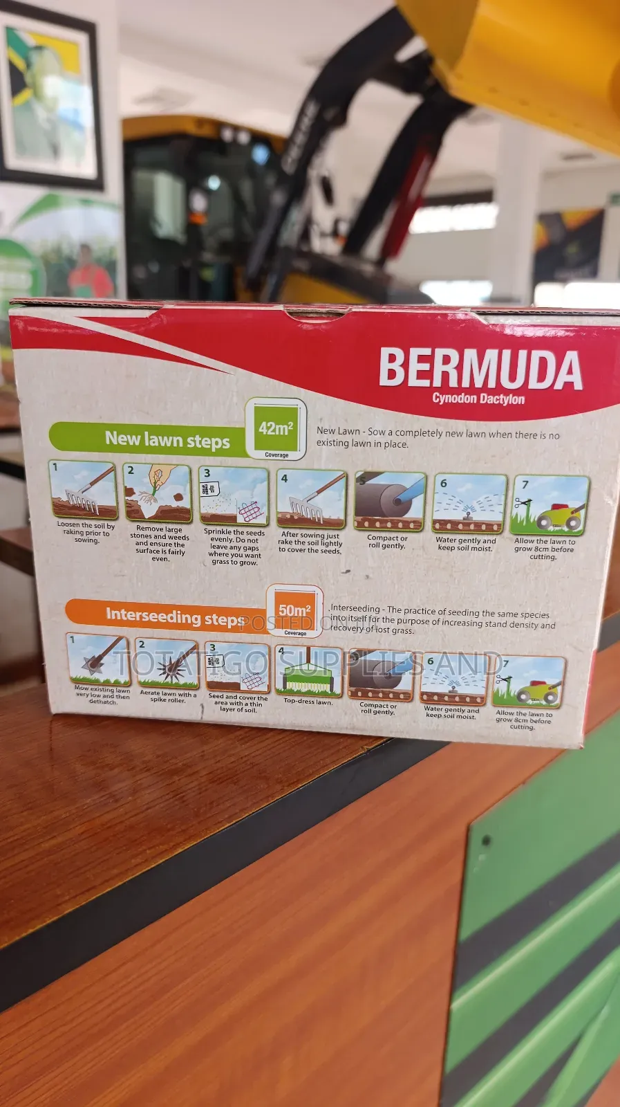 Bermuda Lawn Seeds -500g New