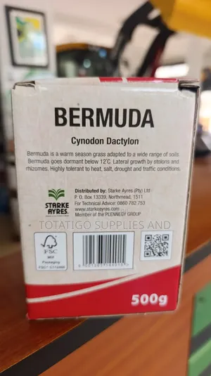 Bermuda Lawn Seeds -500g New