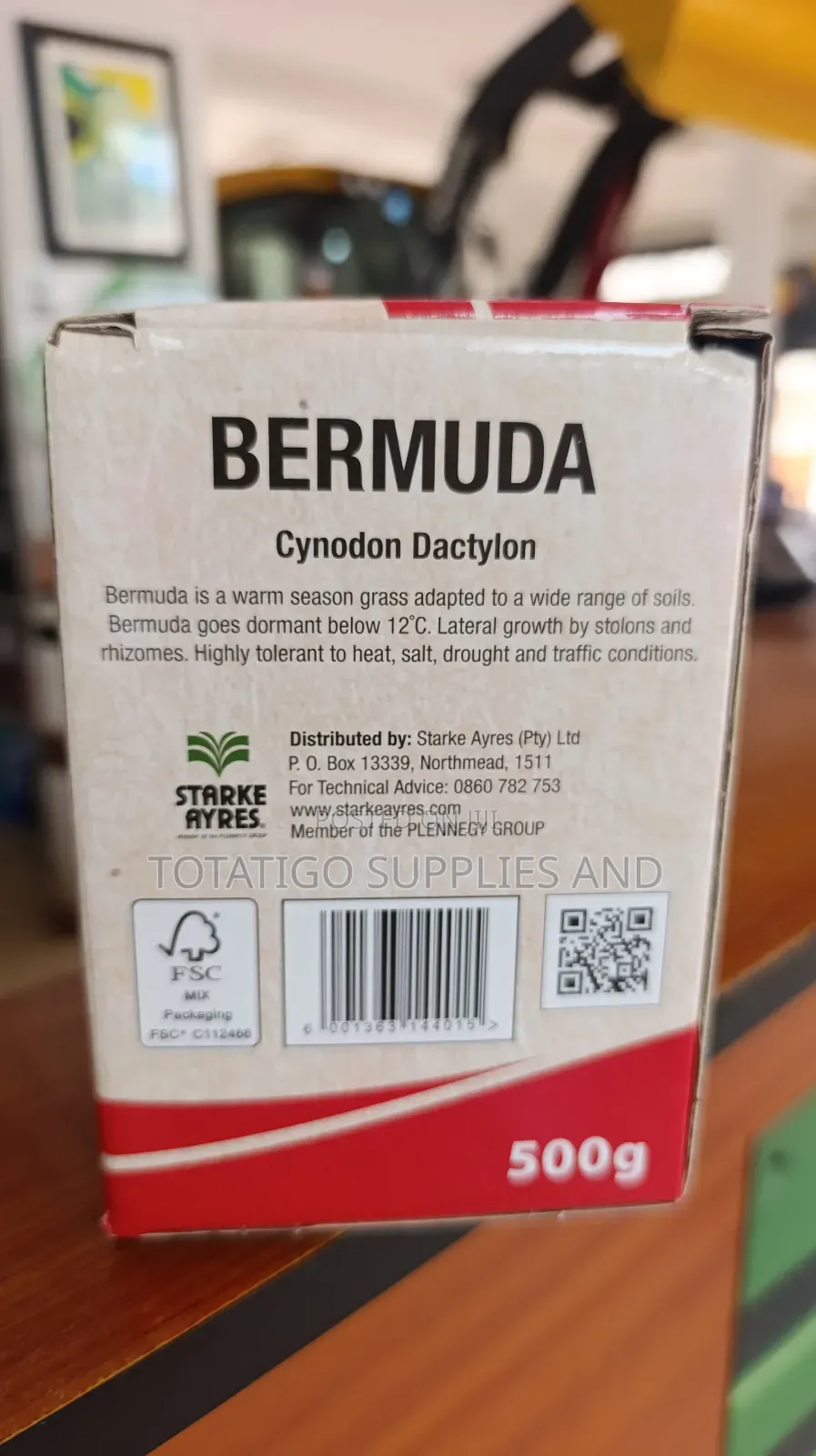 Bermuda Lawn Seeds -500g New