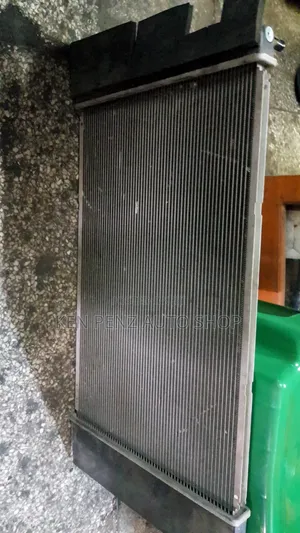 Radiator Mesh for Corolla Fielder 2007