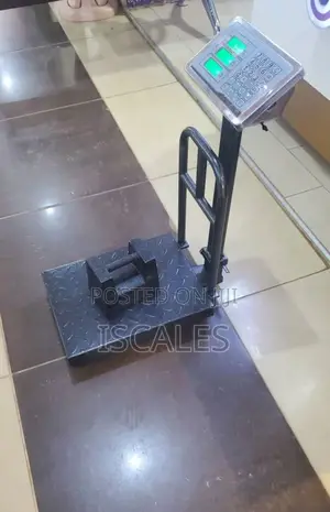 Multifunctional Food Weighing Scale 100kg Weigh Digital Weighing Scale