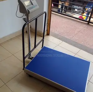 500kg Professional Industrial Weighing Scale Digital Food Weigh Scale