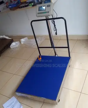 Pricing Weighing Scale 500kg Weigh Animal Feeds Weighing Scale