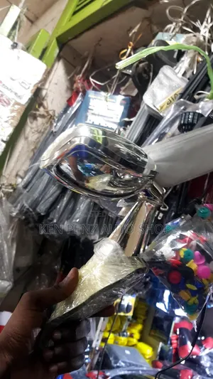 Tx Ordinary Fender Mirror ( Chrome)
