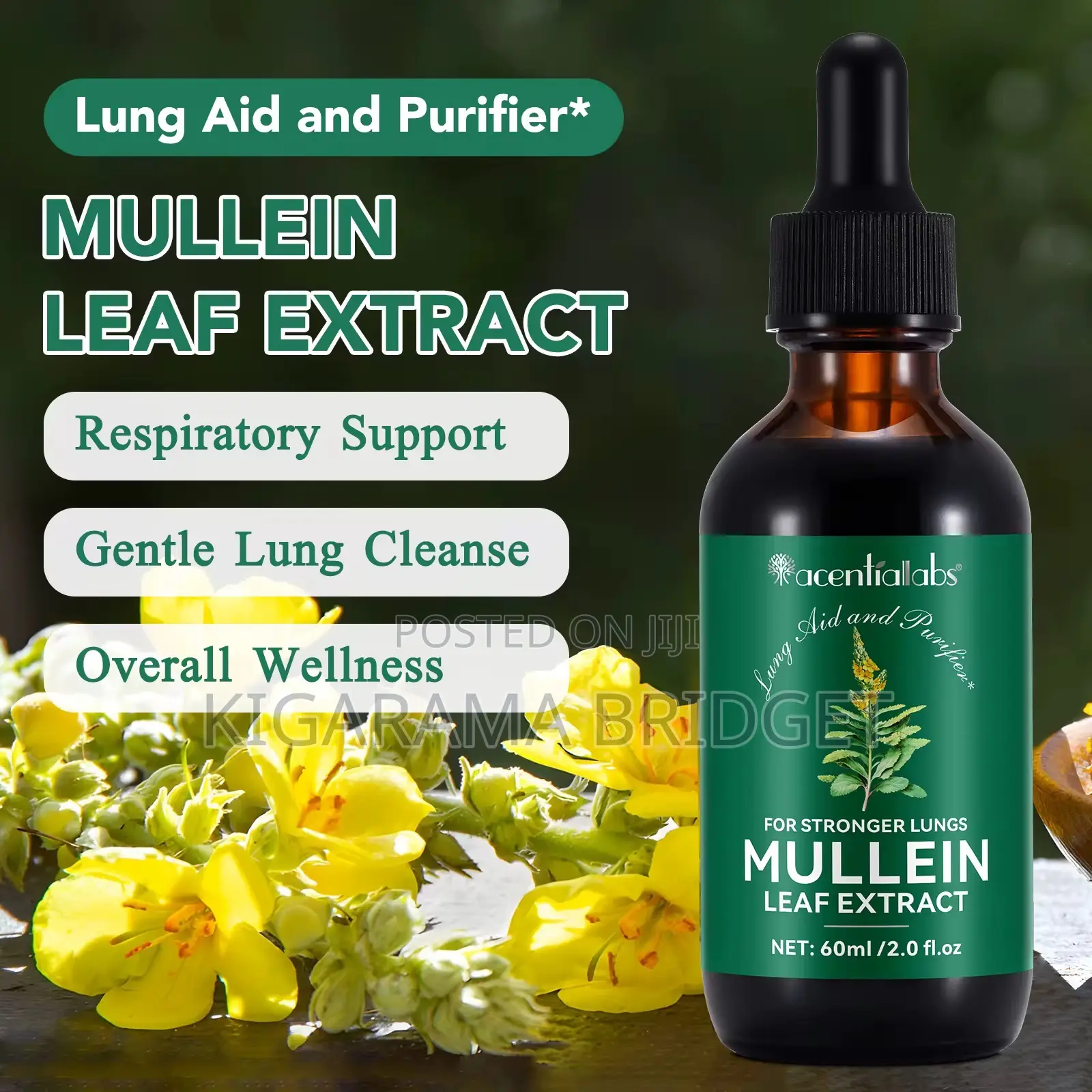 Mullein Leaf Extract 60mls (Allergy, Lungs, Asthma, Cough)