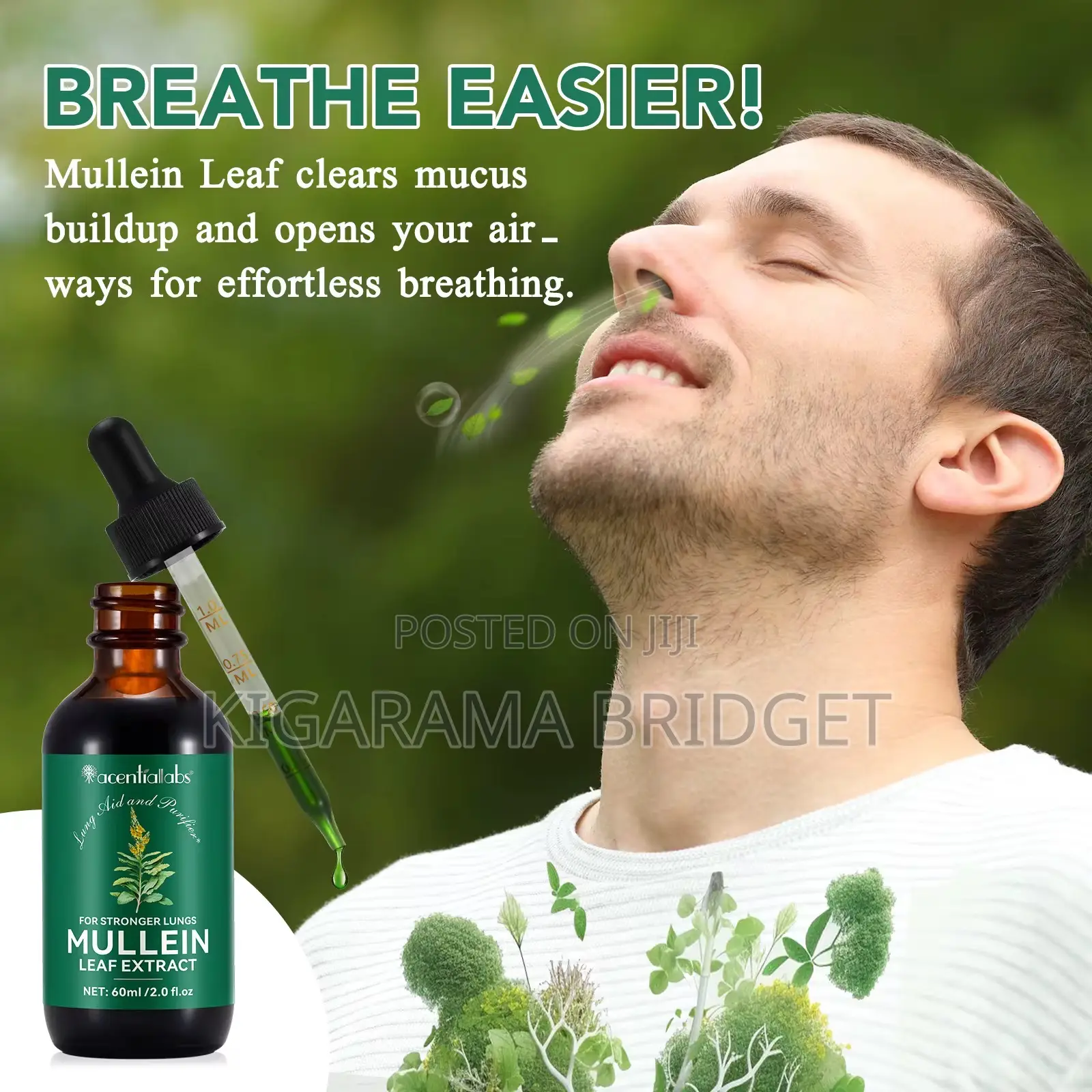 Mullein Leaf Extract 60mls (Allergy, Lungs, Asthma, Cough)