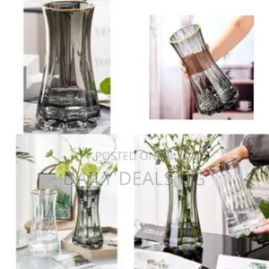 Golden Edge Hydroponic Vase for Living Room Decorations Transparent