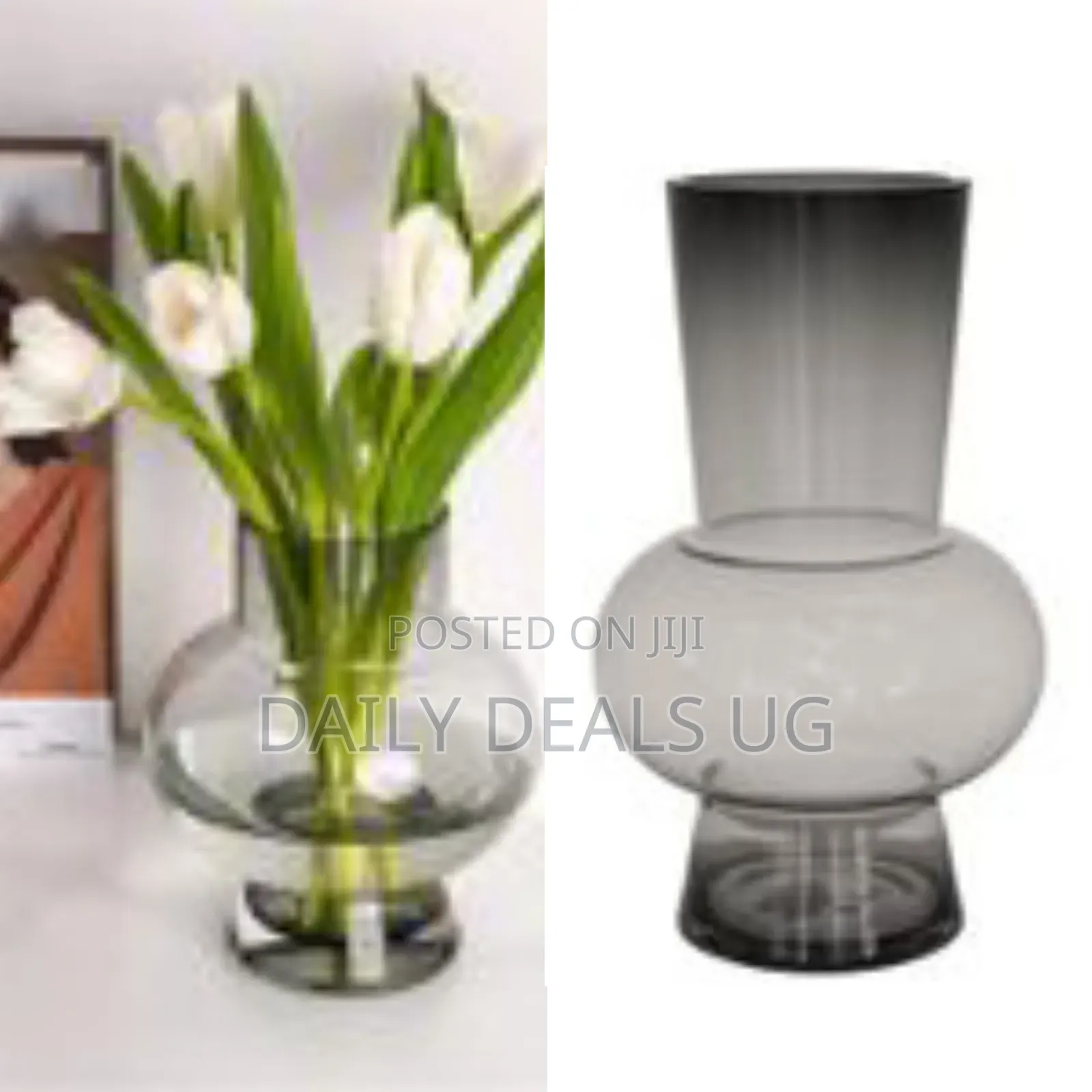 Smoke Belly Compact Tabletop Vase Hydroponics Flower