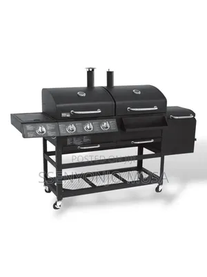 Hollow 2-in-1 Charcoal and Gas BBQ Grill Combo - Barbecue -