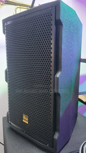 12inch Speaker Bw Audio