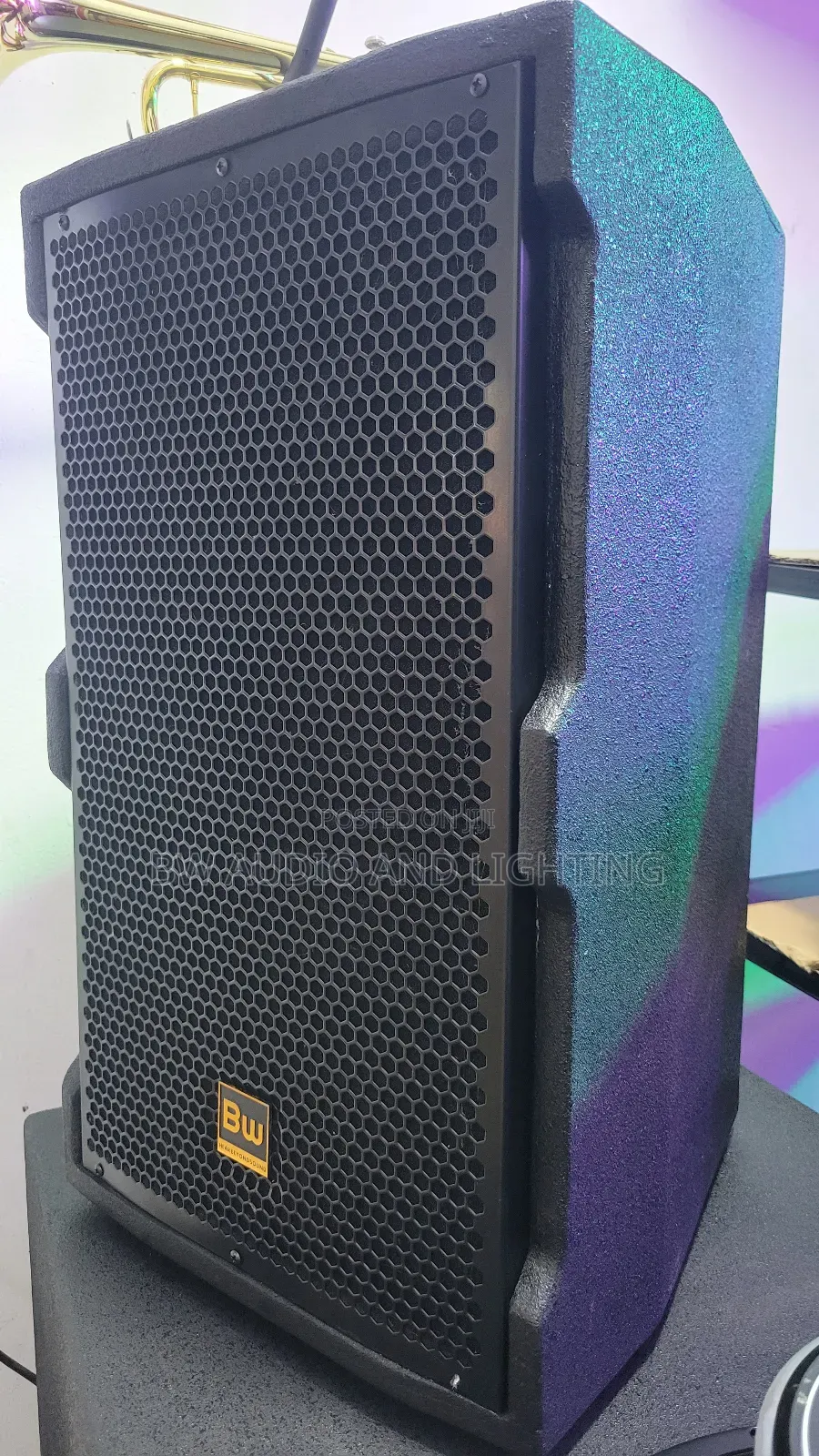 12inch Speaker Bw Audio