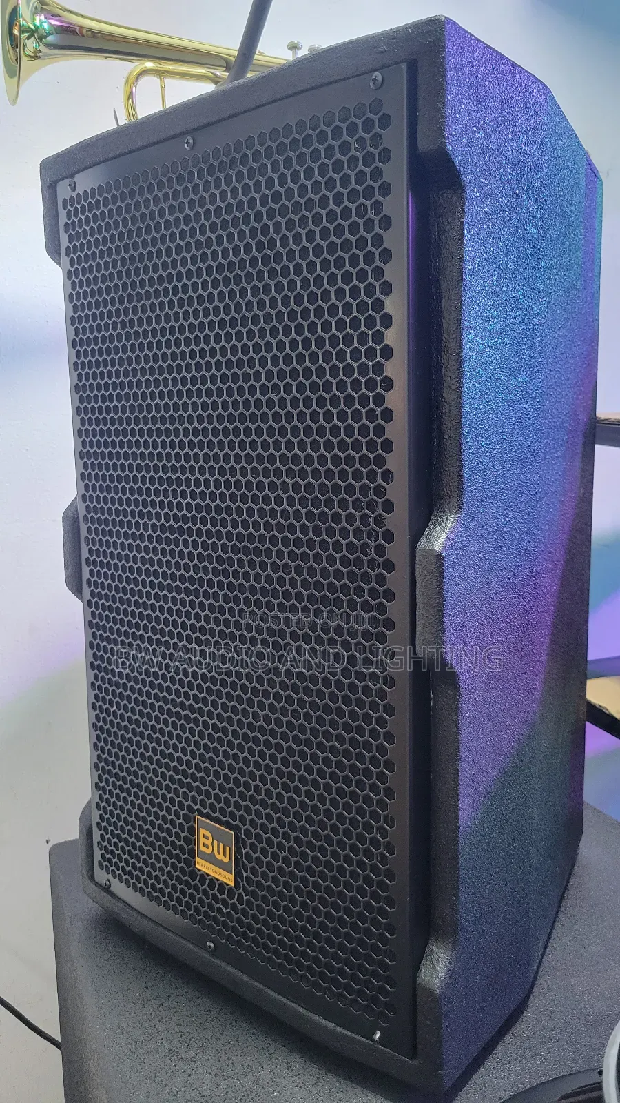 12inch Speaker Bw Audio