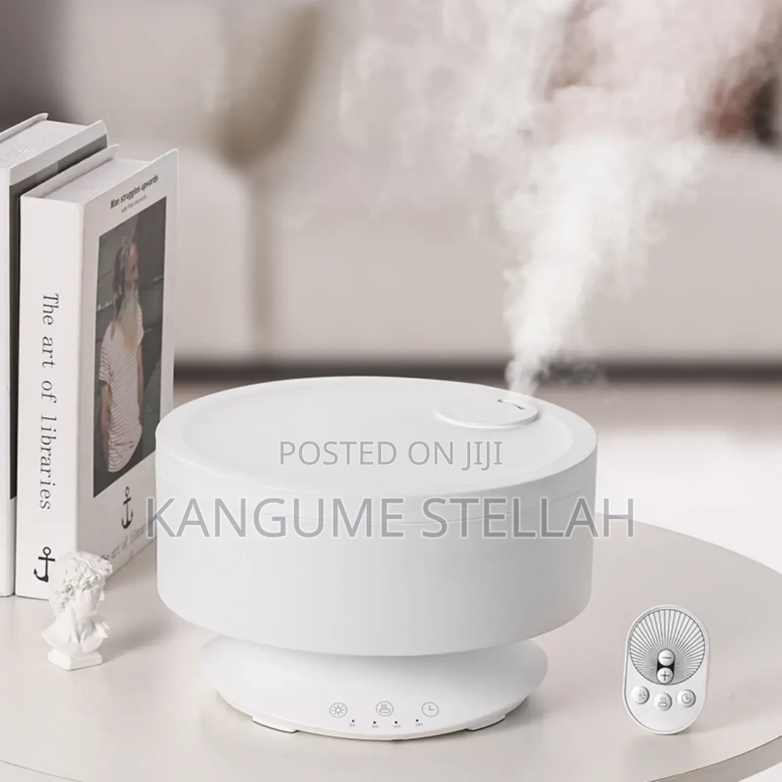 Air Purifier, Humidifier
