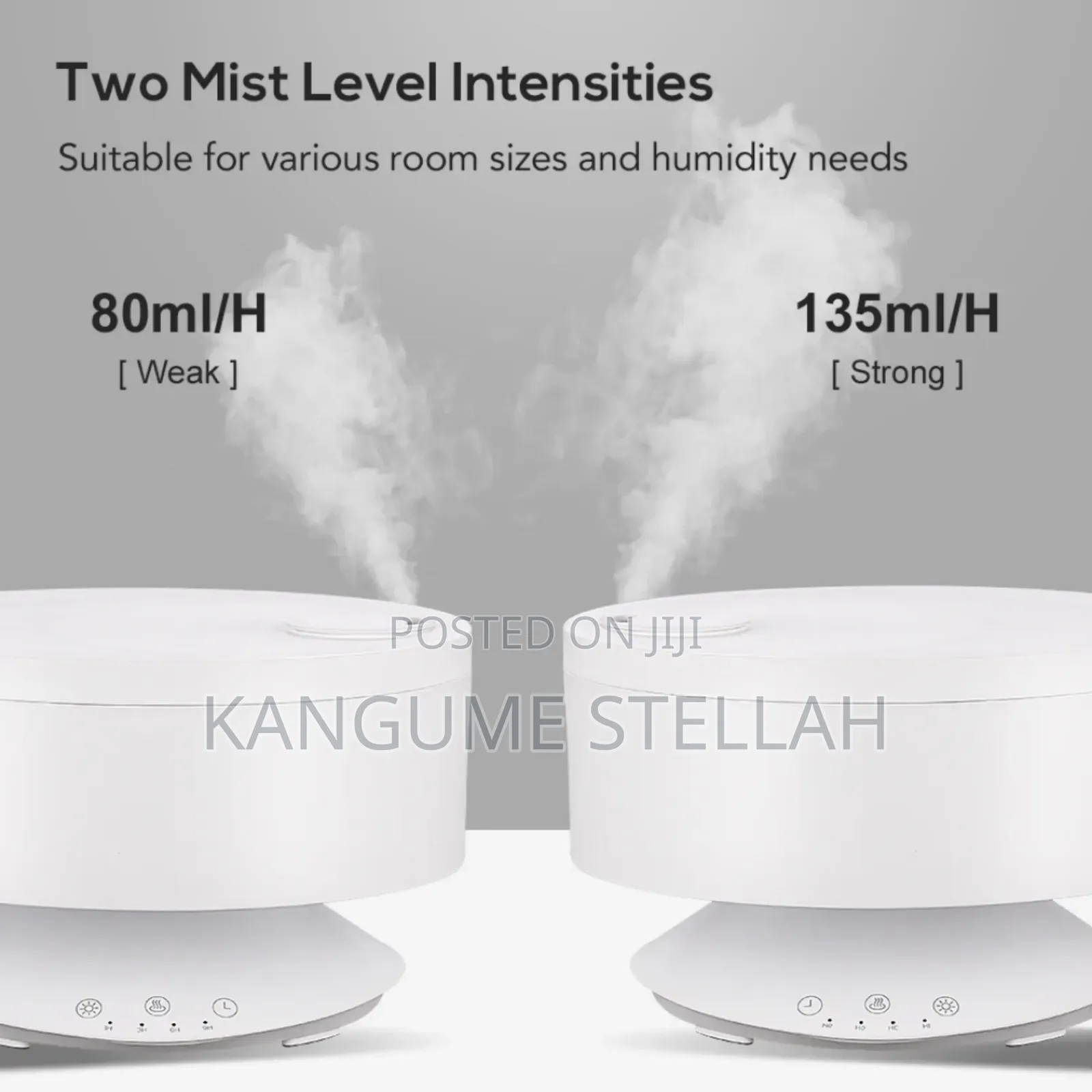 Air Purifier, Humidifier