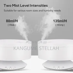Air Purifier, Humidifier