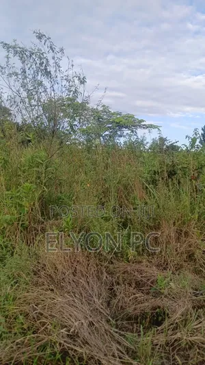 120 Acres in Kikyusa at 12m Each