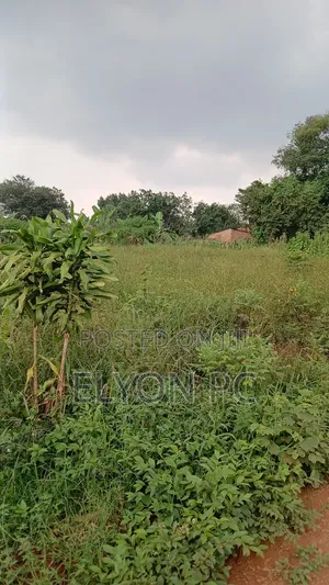 5 Acres in Mpingi at 50m Each