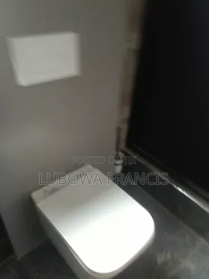 Modern Plumbing