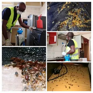 Fumigation for Insecticides Bedbugs, Cockroaches Bees Mosquitos Snakes