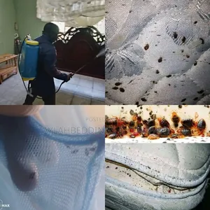 Fumigation Services for Bedbugs, Mosquito, Cockroaches Snake Repellent