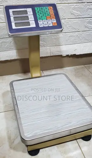 High Quality Weigh Stainless Steel Weighing Scale 90kg Weigh Scale