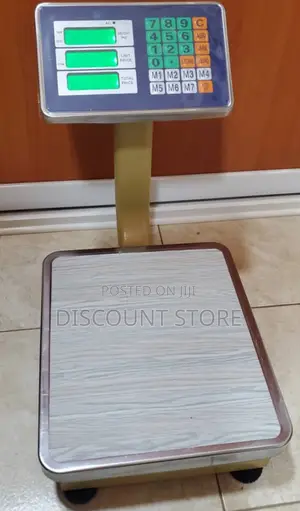 High Quality Weigh Stainless Steel Weighing Scale 60-100kg Weigh Scale
