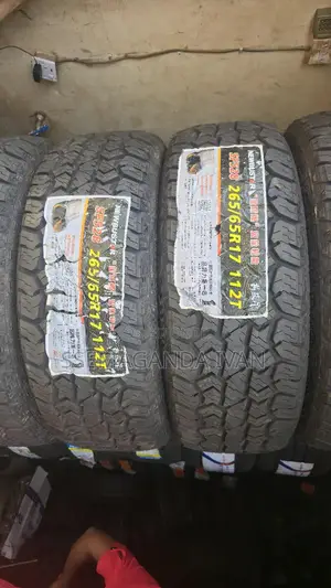 265/65r17 Newbustar Tyres