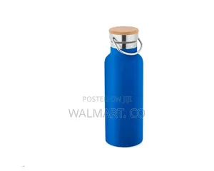 Insulated Stainless Steel Water Bottles