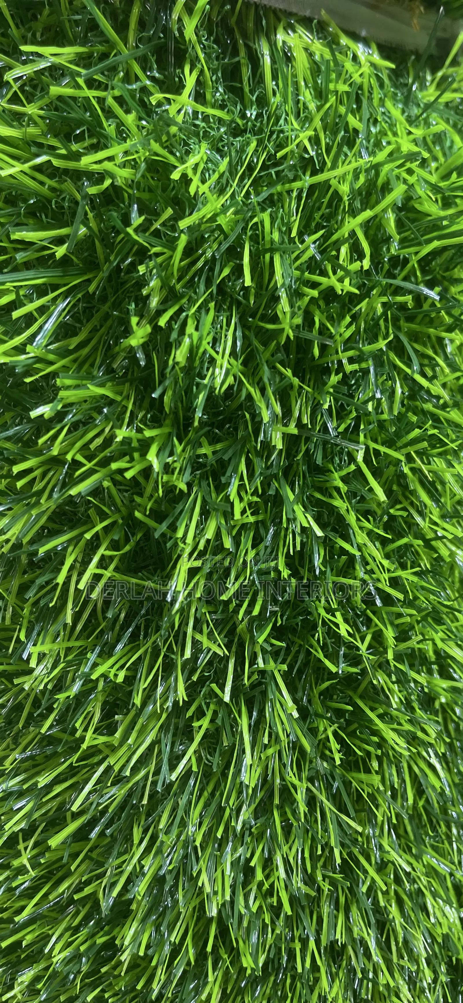 Quality/Green/Grass Carpet (Per Square Meter)