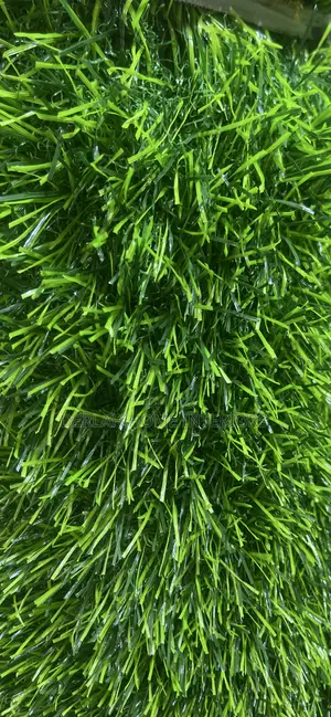 Quality/Green/Grass Carpet (Per Square Meter)