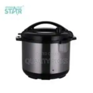 Winning Star 10l Multi-Function Rice Electric Pressure Cooker.