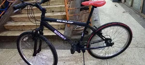 Adullt Bikes Size 26