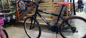 Adullt Bikes Size 26