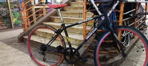 Adultt Bike Size