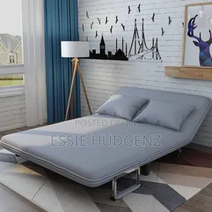 Bed Sitting Retractable Sofa Bed