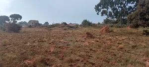 3 Plots Touching Main Kasenyi Road Entebbe on Sale. 25 Decimals Each