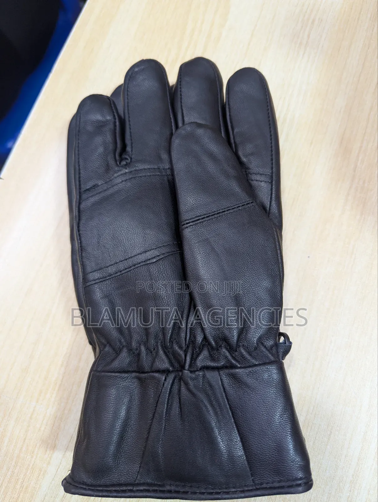 Leather Gloves (Riding Gloves