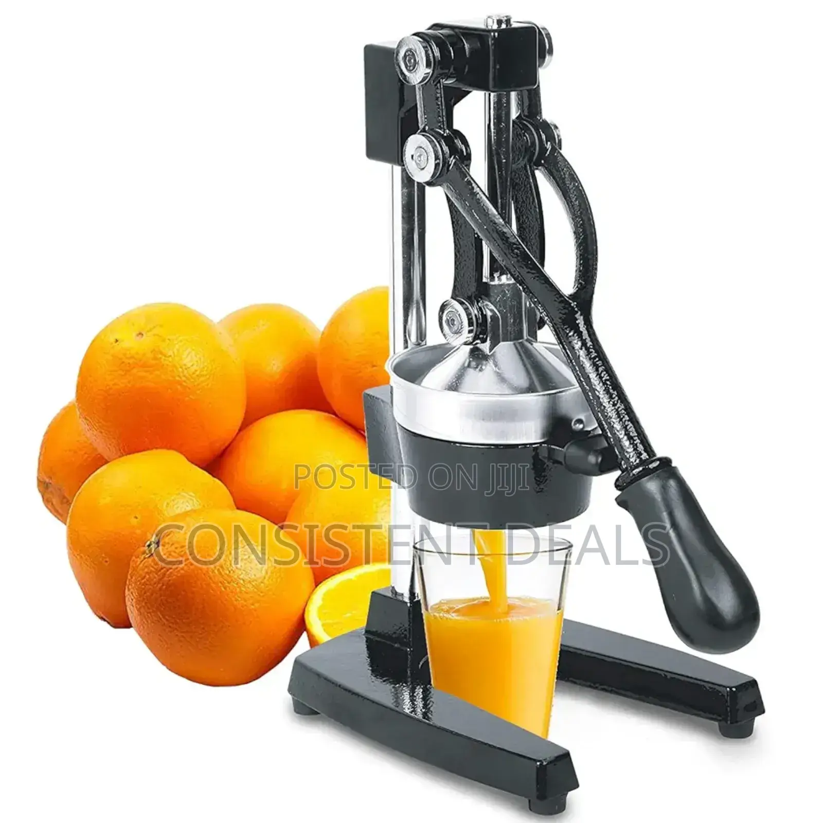 Manual Press Professional Citrus Juicer