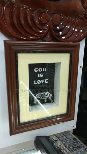 Framed 3d Shadow Box Zebra Wall Art Hanging Decor