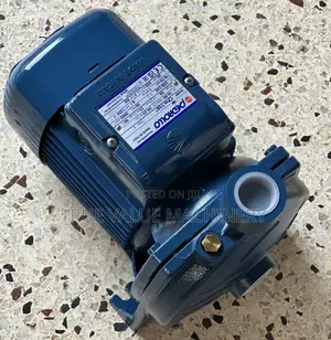 Water Pump Pederollo 1 Hose Power
