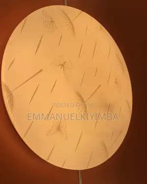 Color Changing Ceilling Light