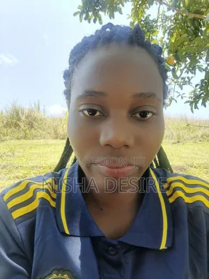 Typing and Data Entry Freelancer