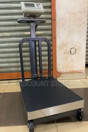 A12 Stainless Steal Weighing Scale 400kg Weigh Digital Weighing Scale