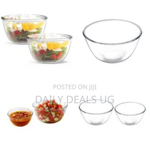 2 Piece Borosilicate Glass Serving Mixing Bowls for Kitchen