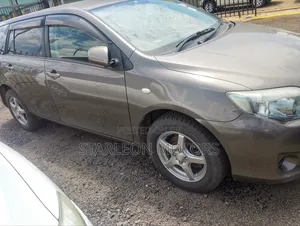 Toyota Corolla Fielder 2010 Gray