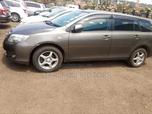 Toyota Corolla Fielder 2010 Gray