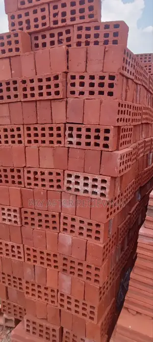 Selected Wall 1 Bricks