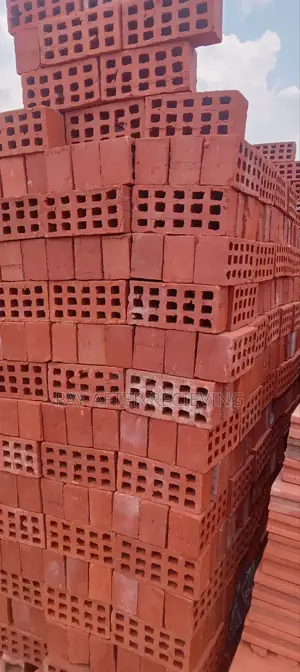Selected Wall 1 Bricks
