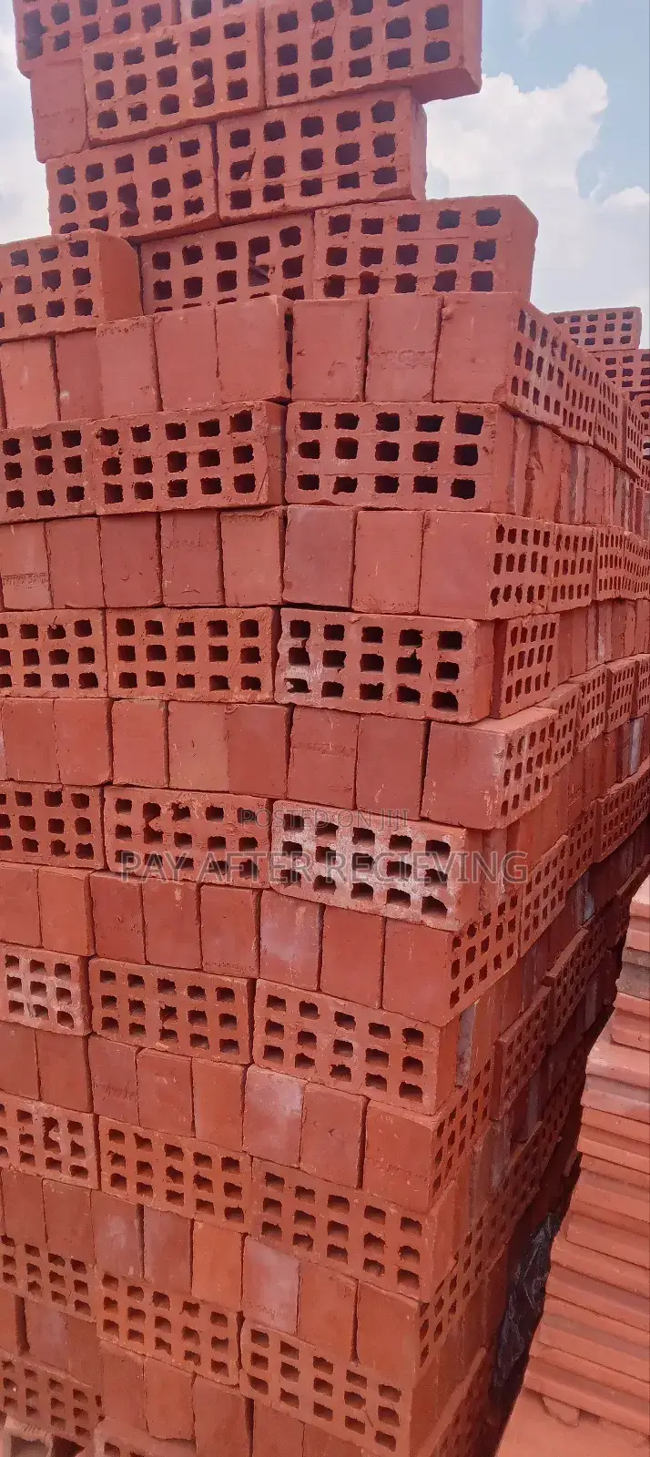 Selected Wall 1 Bricks