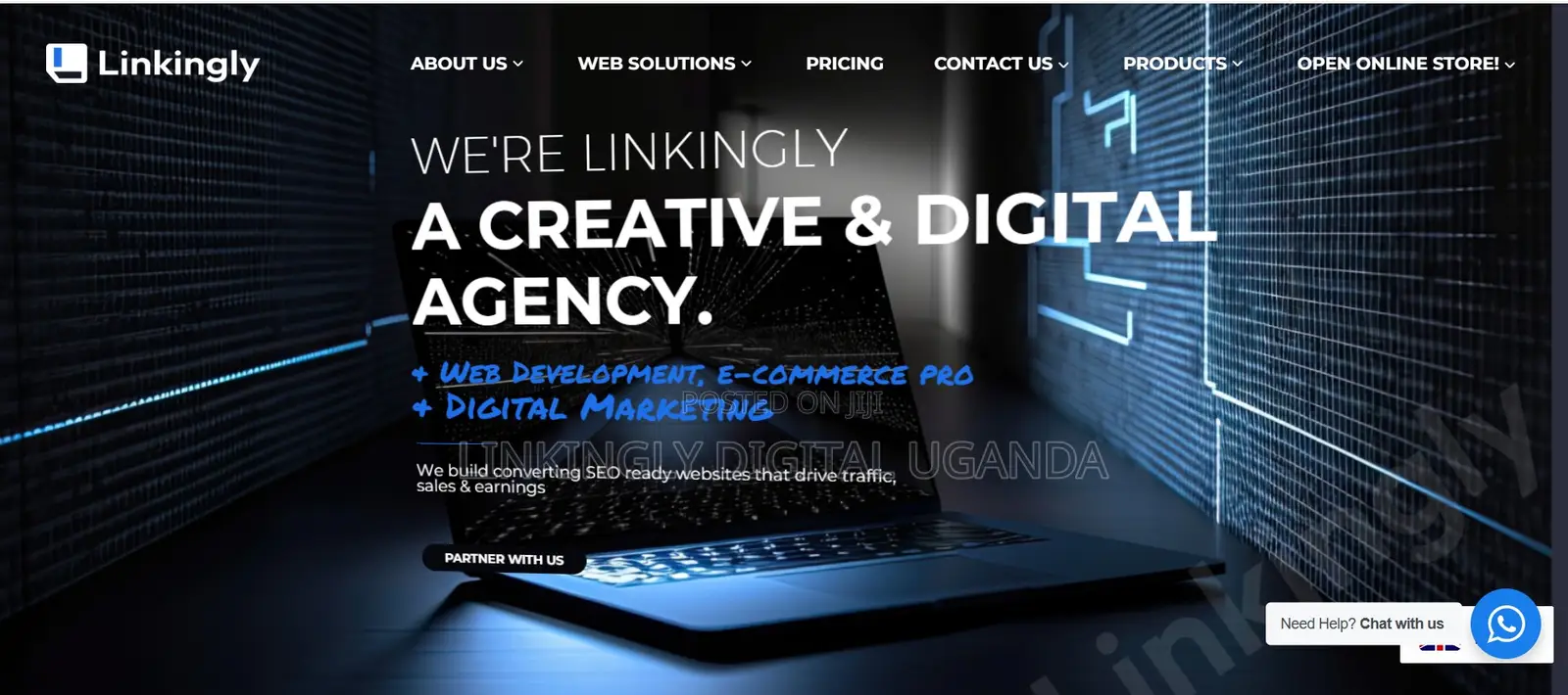 Reasons Linkingly Digital Is Uganda's Top Web Designer